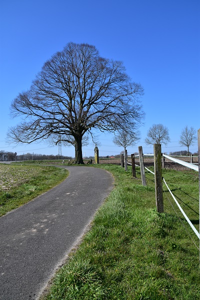 dsc_1264_Station_kleine_Linde.jpg